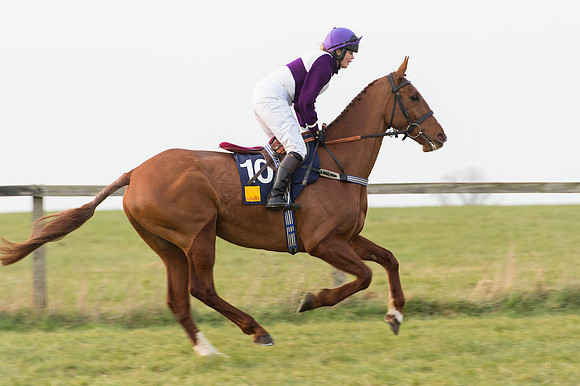Race 6 Div 2 - Open Maiden  (9 of 131).jpg