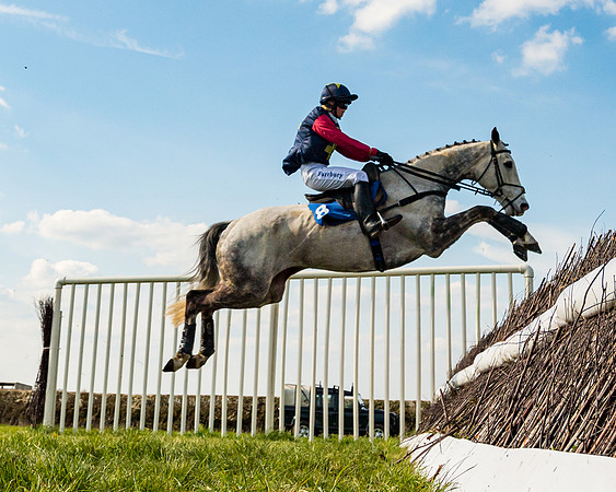 Race 4 - The Warehouse Reit Mixed Open Race  (41 of 124)