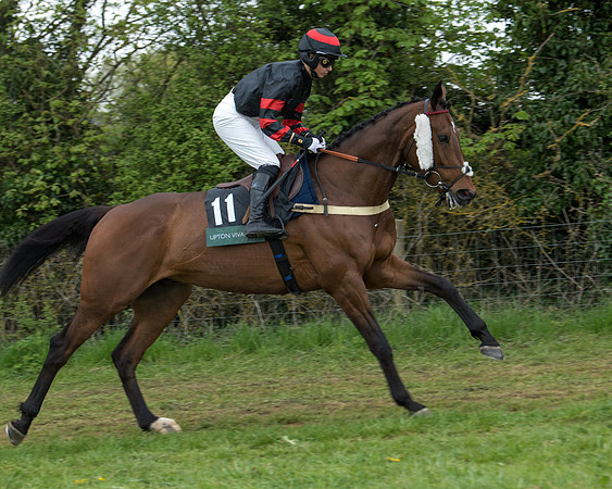 Race 6 - Restricted (94 of 173)