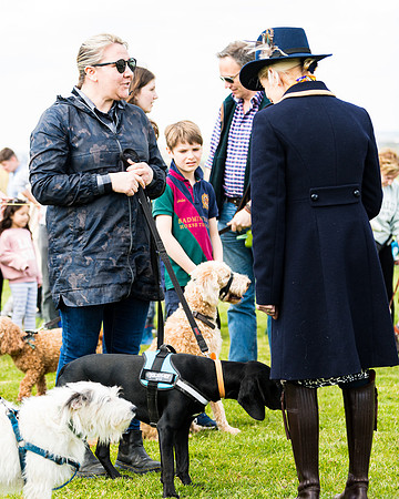 Dog show etc (102 of 157)
