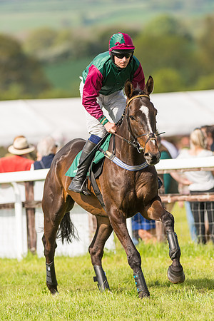 Race 5 - Restricted  (46 of 164)