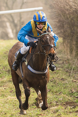 Pony Race 2 -  (16 of 32).jpg