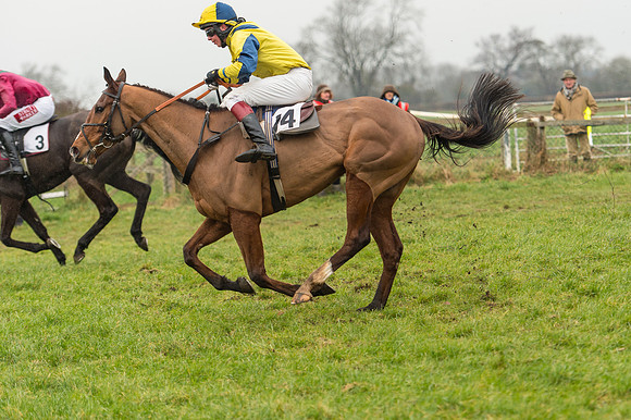 Race 2 - The Intermediate Race (64 of 78).jpg