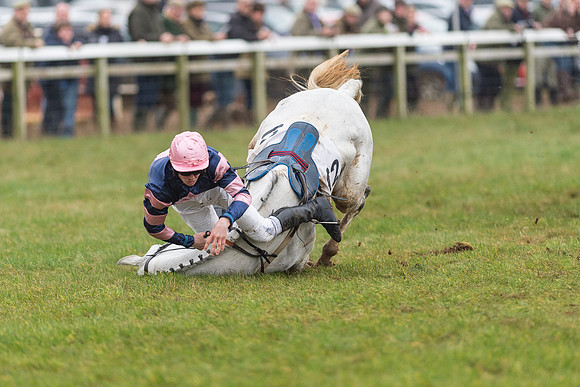 Race 6 - Open Maiden Race Div 2  (93 of 118).jpg