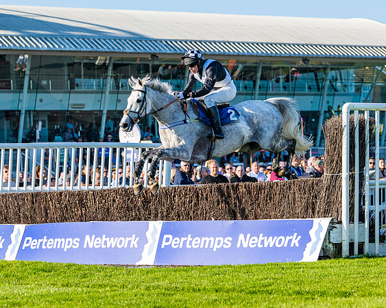 Race 4 - Foxhunters Championship (55 of 175)