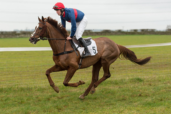 Race 3 - Novice Riders Race (32 of 150).jpg