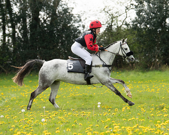 Ponies and Side saddle (23 of 69)