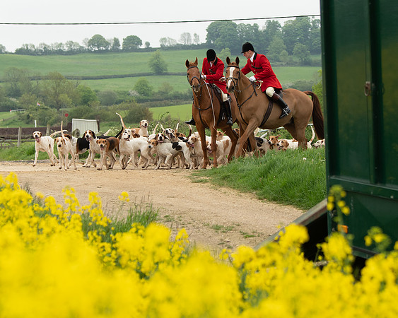 Hunt and Hounds (2 of 12)