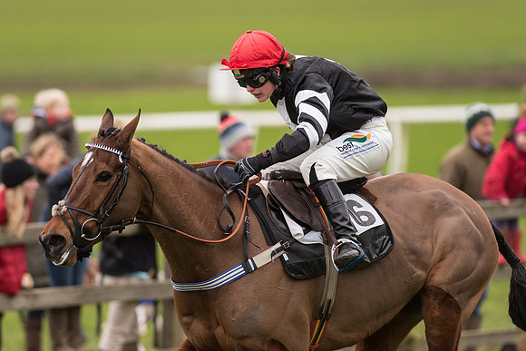 Race 7 - Open Maiden (113 of 131).jpg