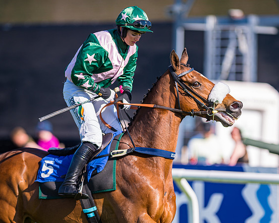 Race 1 - JFF Open Hunter Steeple Chase 2m  (46 of 202)