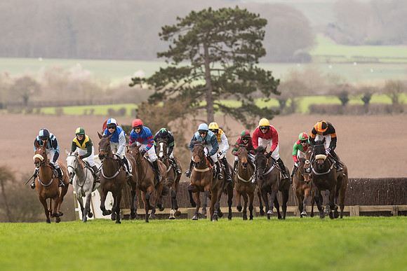 Race 2 - Young Horse Maiden (43 of 110).jpg