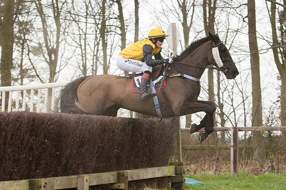 Race 2 - PPORA Novice riders  (106 of 186).jpg