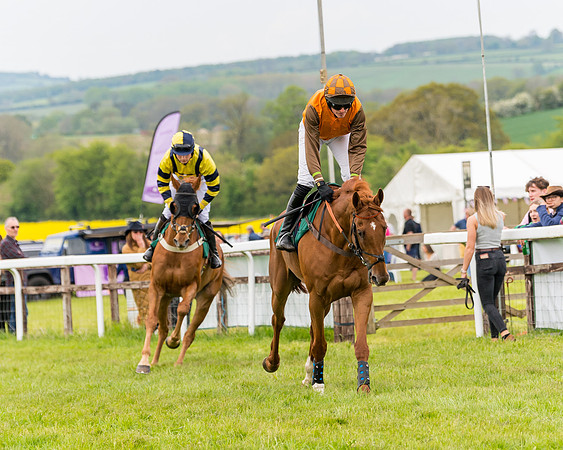Race 7 - Veteran Horse conditions (75 of 244)