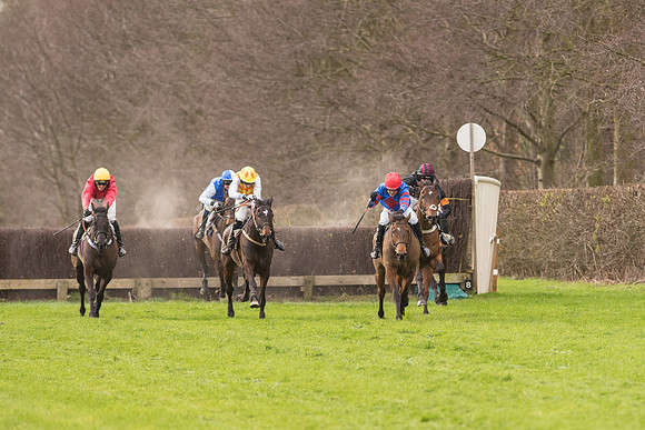 Race 2 - Young Horse Maiden (68 of 110).jpg