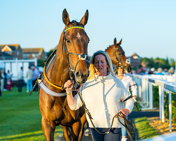 Race 7 - ITM NH Flat Race (20 of 197)