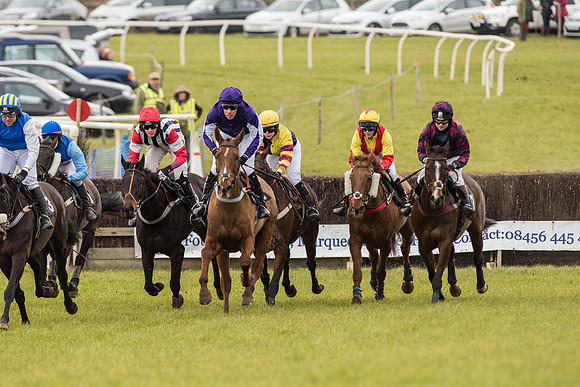 Race 2 - Novice and Veterans   (47 of 101).jpg