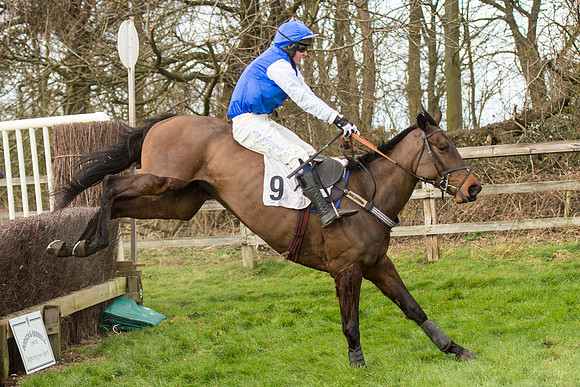 Race 2 - Young Horse Maiden (93 of 110).jpg