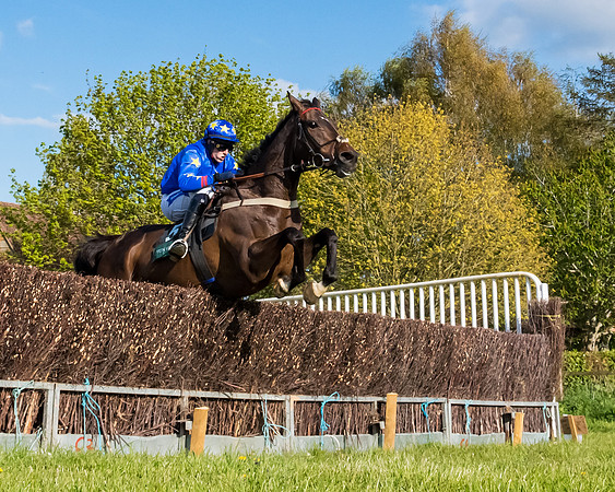 Race 7 - Maiden  (79 of 113)