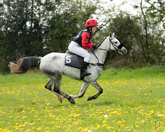Ponies and Side saddle (25 of 69)