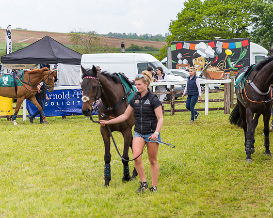 Race 7 - Veteran Horse conditions (12 of 244)