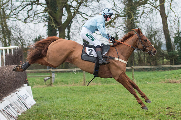 Race 7 - Young Horse Maiden  (57 of 64).jpg