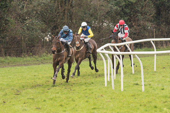 Race 1 - Young Horse Maiden (27 of 50).jpg
