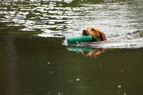 WCGB-04AUG-2013 Water Training Day 48