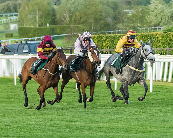 Race 5 - Mares Open  (126 of 329)