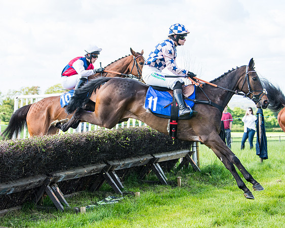 Race 5 - 2m5f Maiden (55 of 144)