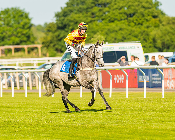 Race 3 - John Corbet Cup (22 of 127)