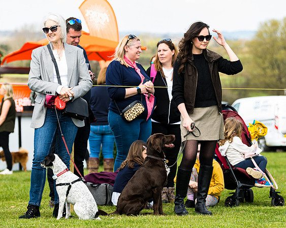 Dog show etc (105 of 157)