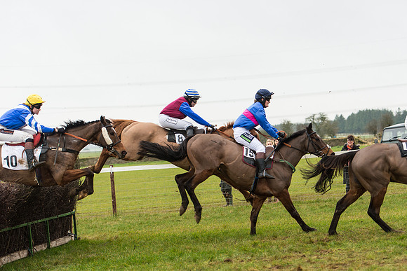 Race 4 - Ladies Open Race (18 of 52).jpg
