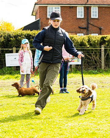 Dog show etc (65 of 157)