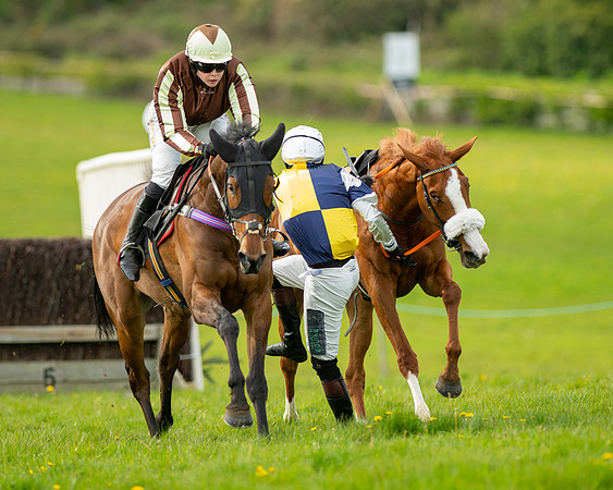 Race 5 - Open Maiden  (52 of 89)