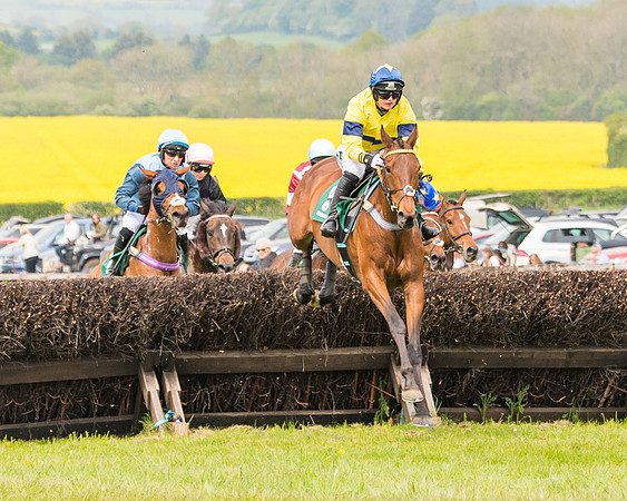 Race 2 - Owner-Trainer Conditions  (77 of 208)
