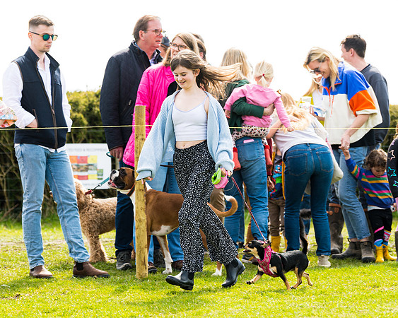 Dog show etc (55 of 157)