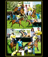 Montage 20x24 customer