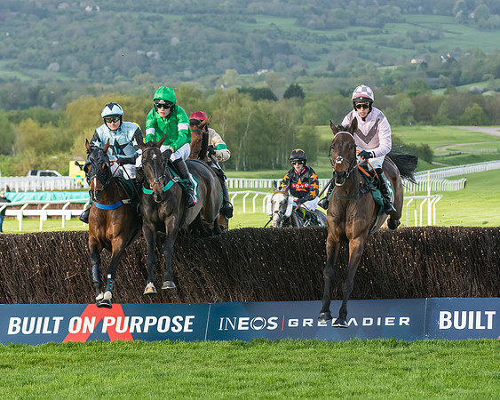 Race 3 - KTDA Open Hunter Chase (111 of 317)