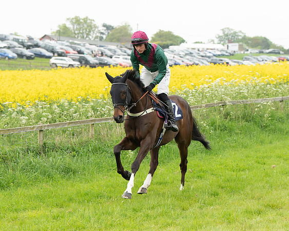 Race 2 - Five and Over restricted (32 of 136)