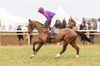 Race 7 - Yoiung Horse Maiden Race (20 of 101).jpg