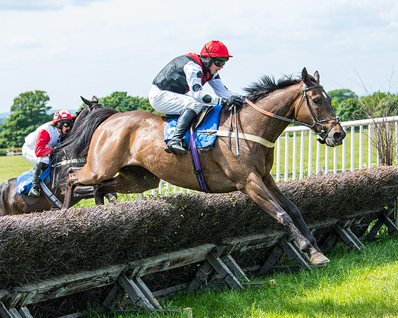 Race 1 - The Little Red owner Trainer conditions (234 of 345)