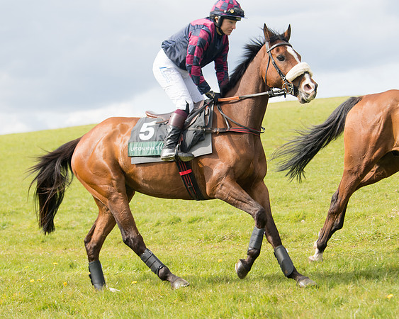 Race 3 - Owner Trainer conditions (4 of 132)