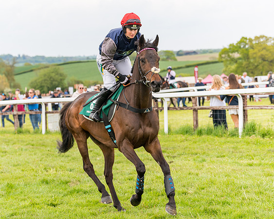 Race 7 - Veteran Horse conditions (89 of 244)