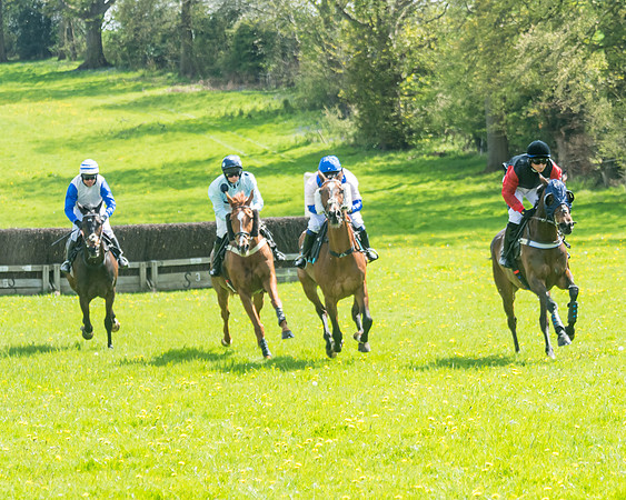 Race 2 - Veteran Horse  (29 of 82)