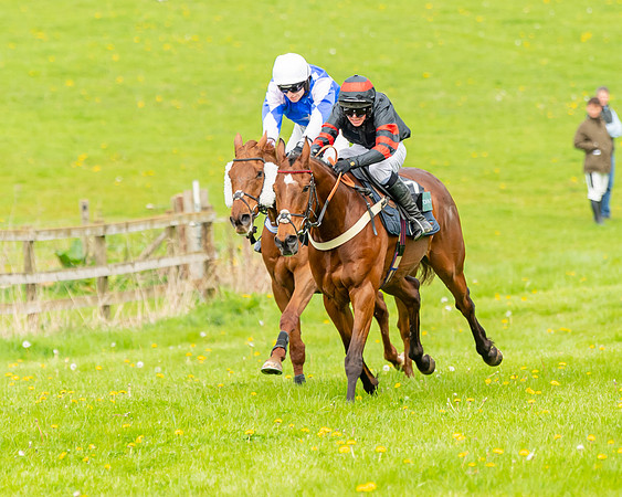 Race 2 - ROR and veteran Horse Conditions race (39 of 77)