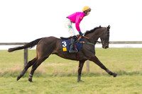 Race 6 Div 2 - Open Maiden  (32 of 131).jpg