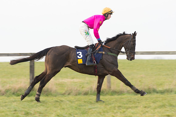 Race 6 Div 2 - Open Maiden  (32 of 131).jpg