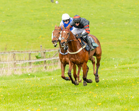 Race 2 - ROR and veteran Horse Conditions race (40 of 77)