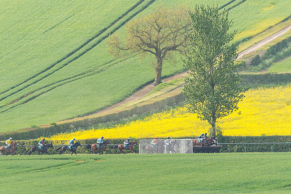 Race 5 - Restricted  (52 of 164)