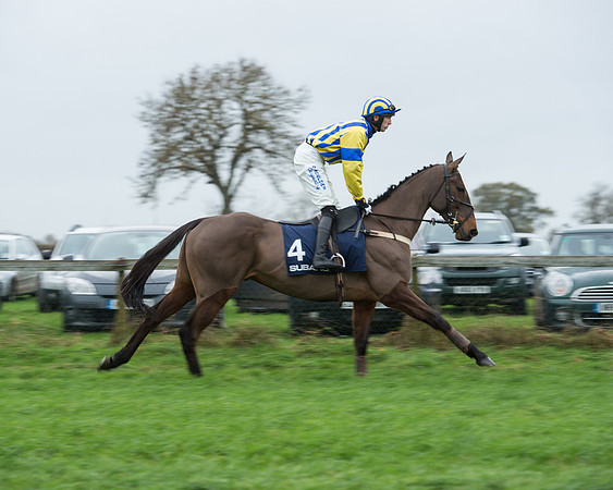 Race 4 - Restricted (9 of 58).jpg